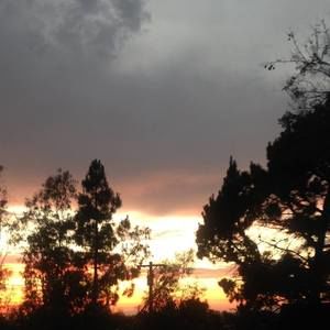 Meet your Posher, Terry